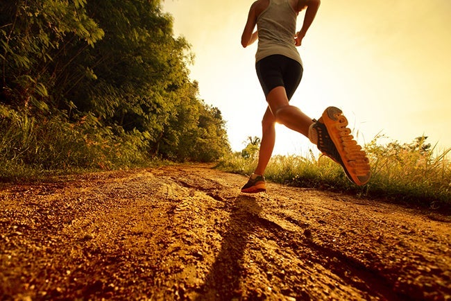 fartlek workout