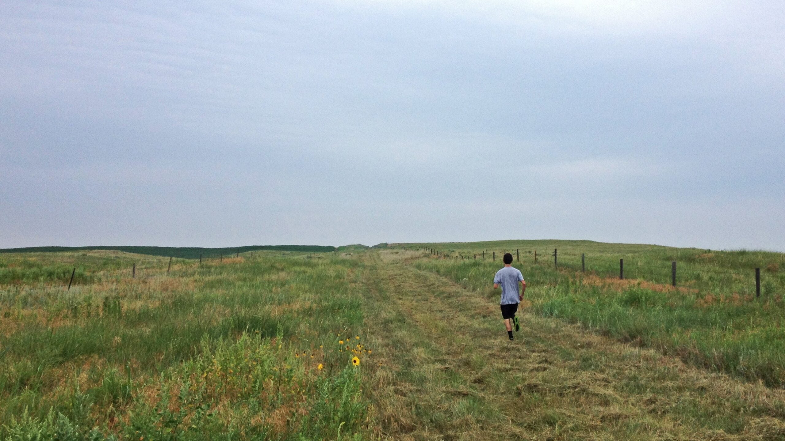 lone runner in wide field