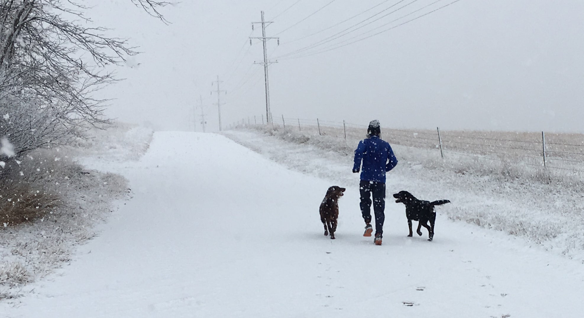 winter run