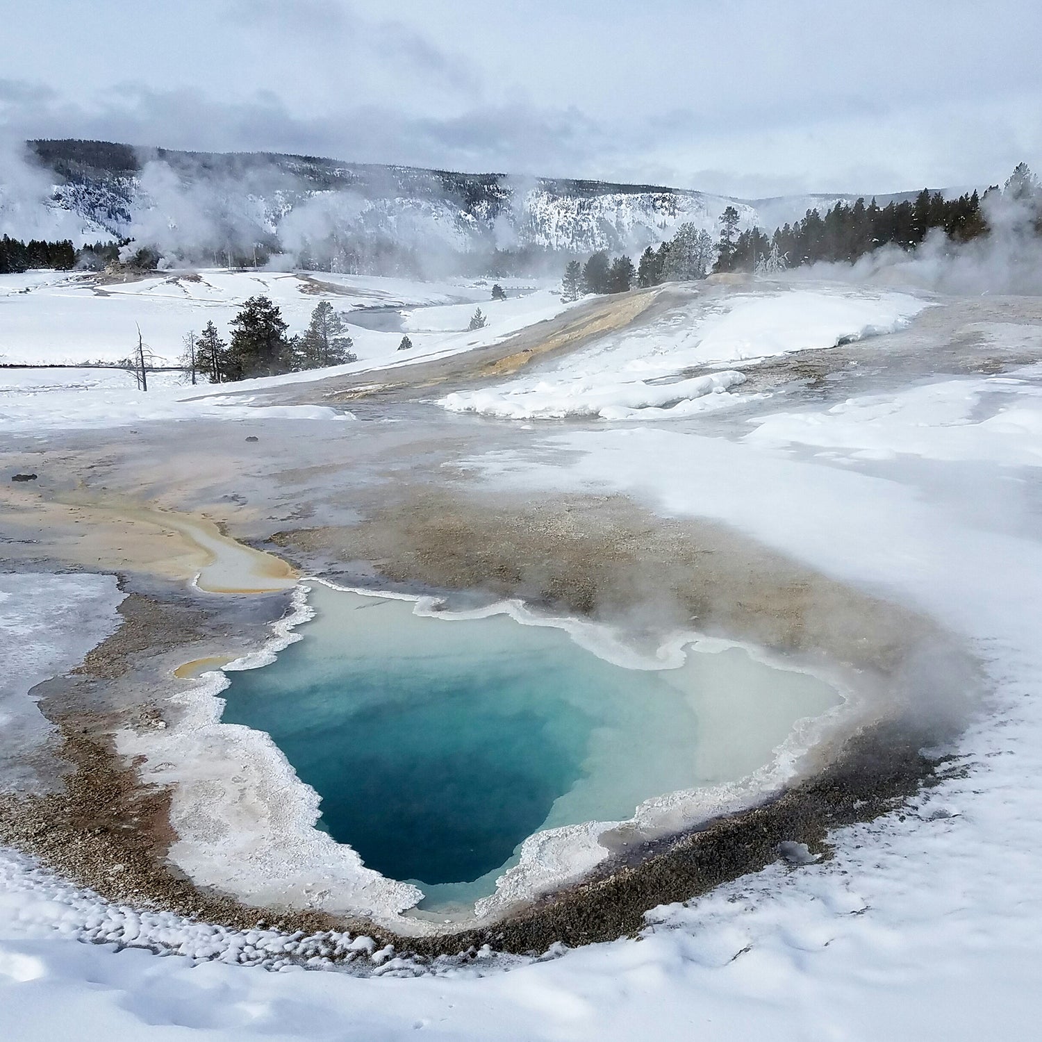 Heart Spring in Upper Geyser Basin