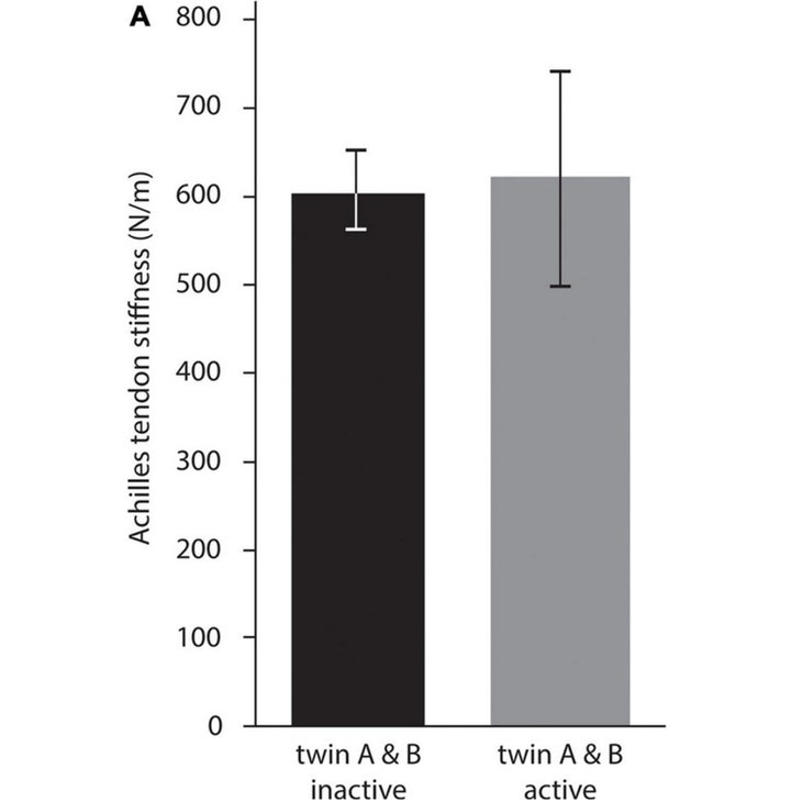 Frontiers in Physiology tendon stiffness chart