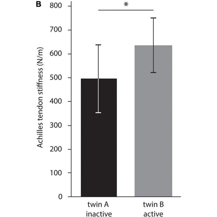 Frontiers in Physiology tendon stiffness chart