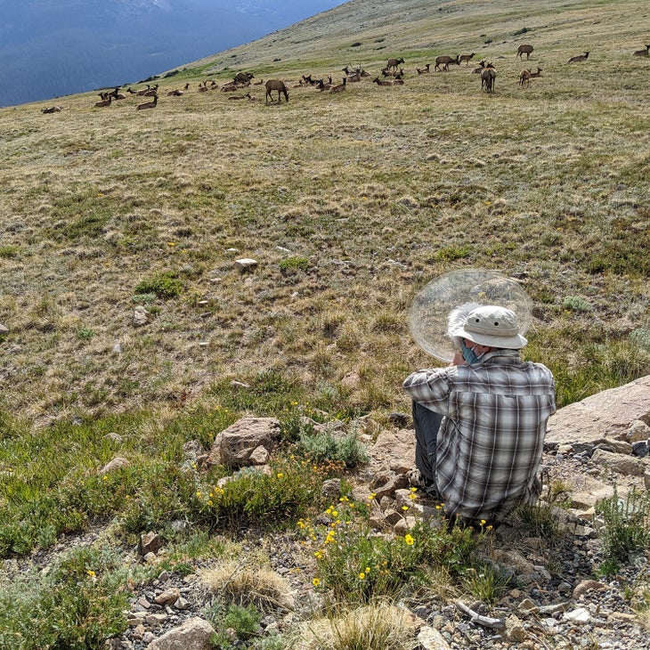 recording elk