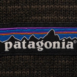 Patagonia logo on a brown shirt