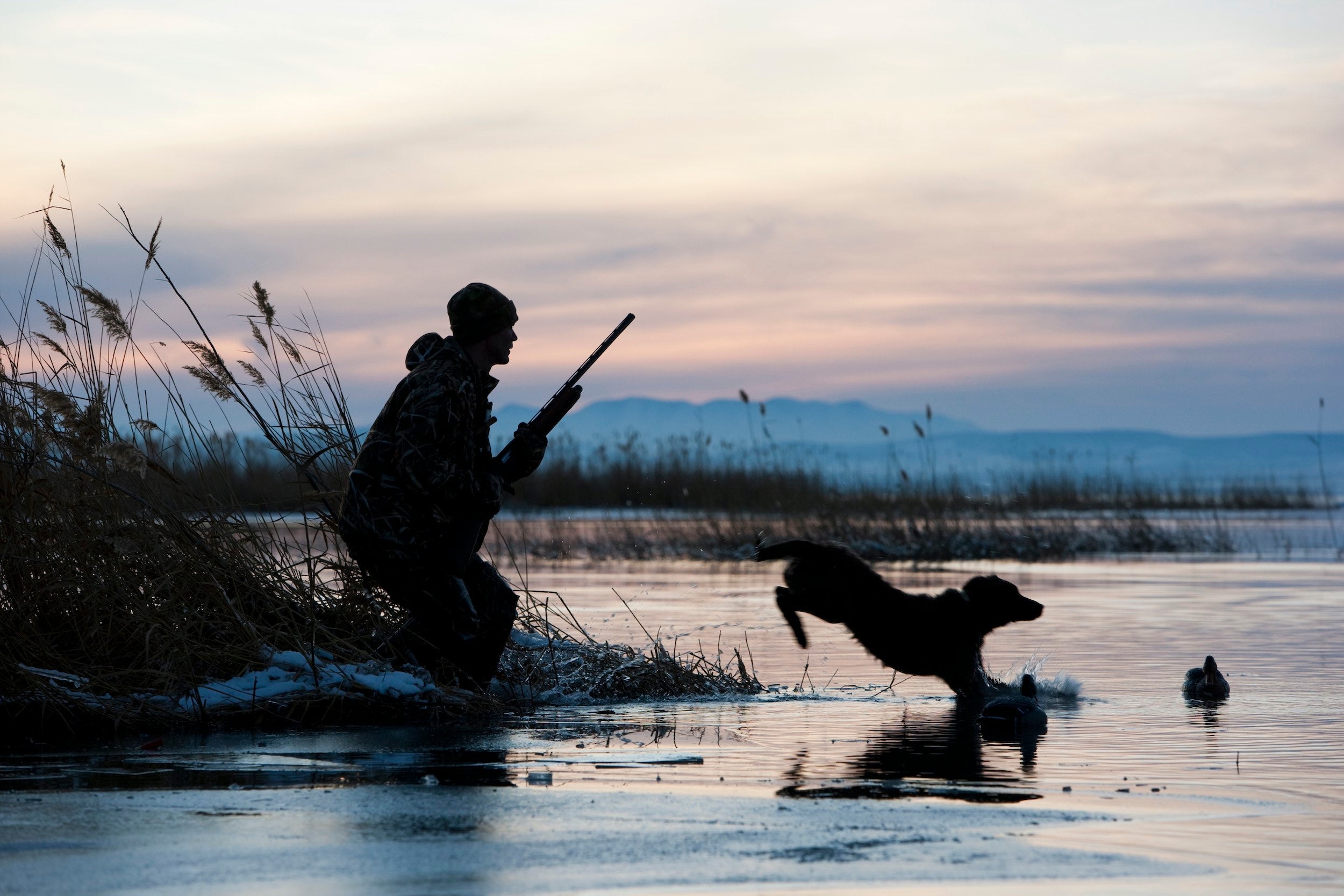 Man hunting with dog at twilight