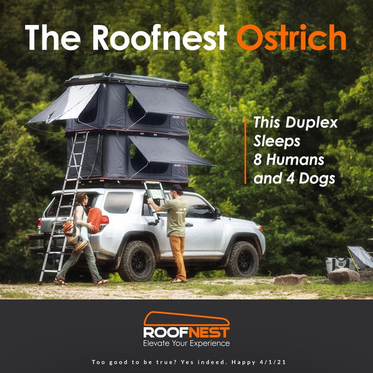 Roofnest Ostrich