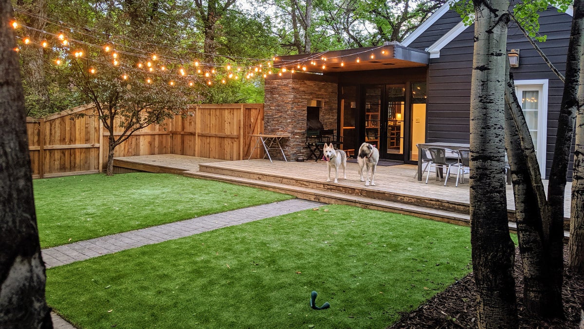 Pet-Friendly Artificial Grass: The Ultimate Yard Upgrade for Dog Owners