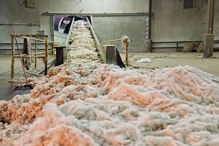 greasy-wool-blending-may-2017 None