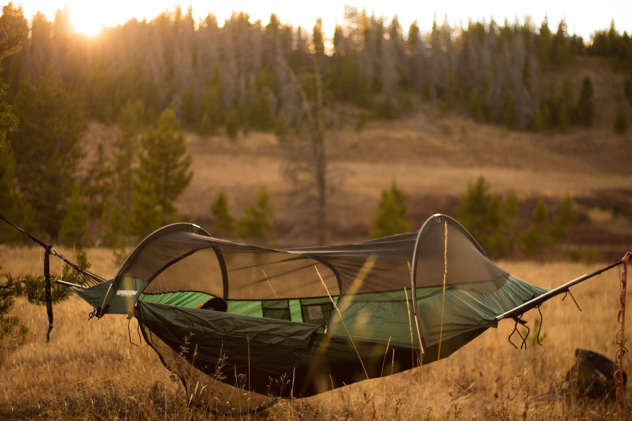 green hammock with a net on top