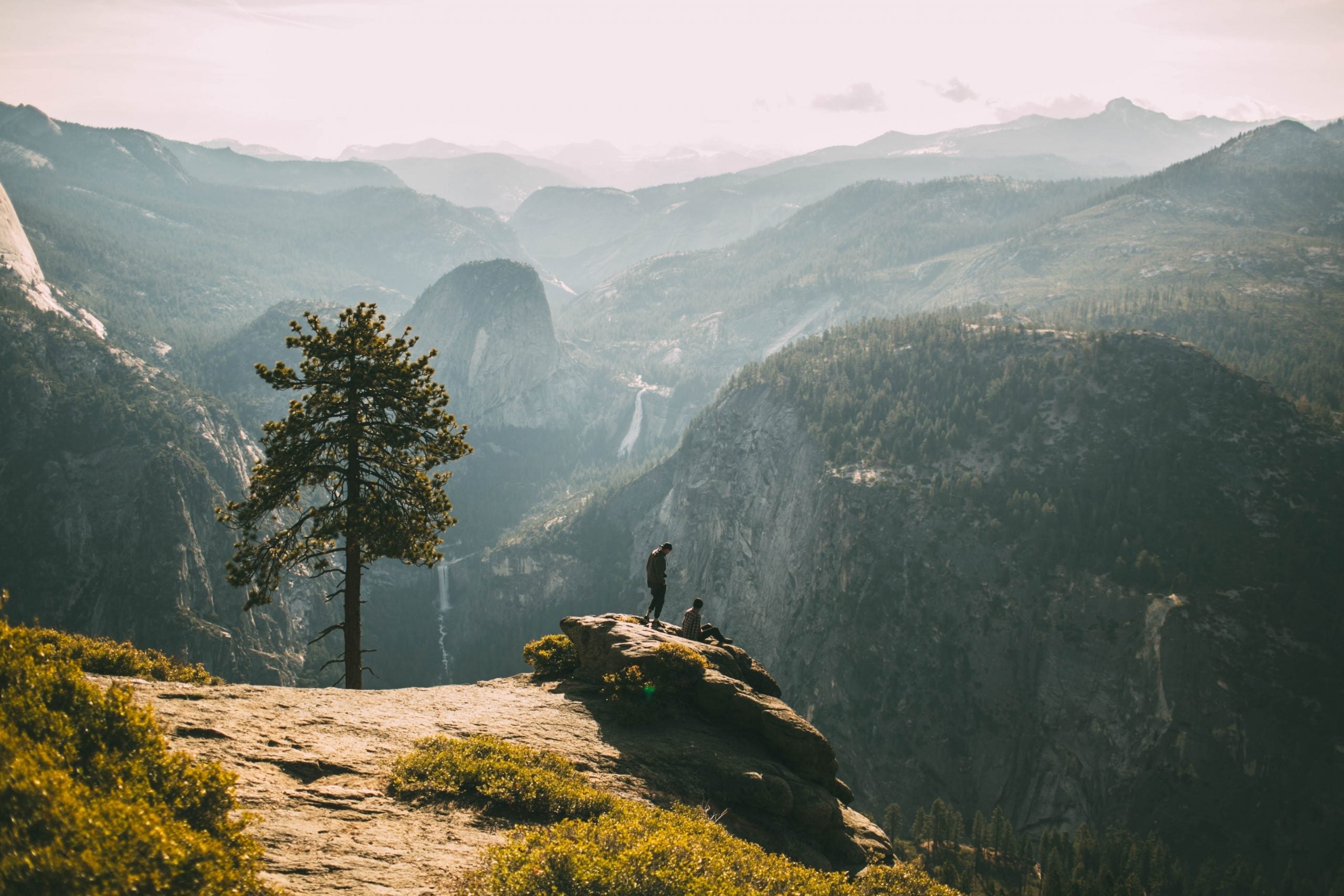 Two figures in the middle of the wilderness