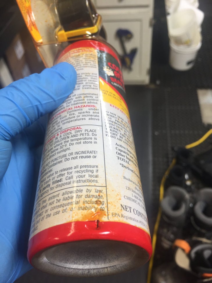 sunlightsports-bearspray-july-17 None