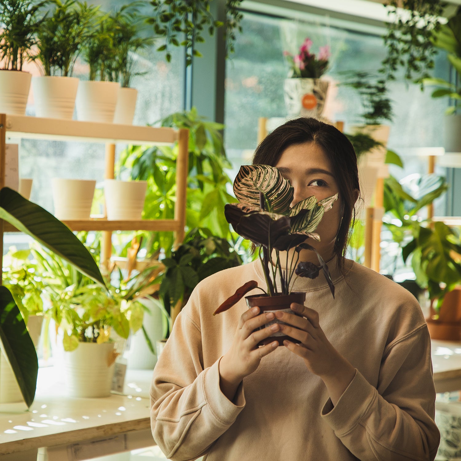 woman holding a potted plant