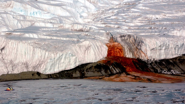 The Blood Falls seeps from the end of the Taylor Glacier into Lake Bonney. 