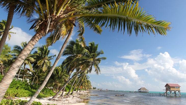 San Pedro is a town on the southern part of the island of Ambergris Caye in the Belize District of the nation of Belize, in Central America. It is the second largest town in the Belize District and largest in the Belize Rural South constituency. The once sleepy fishing village was granted the status of a town in 1848.