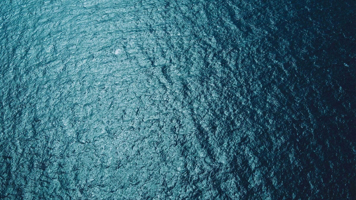 Swimming for Your Life in the Open Ocean