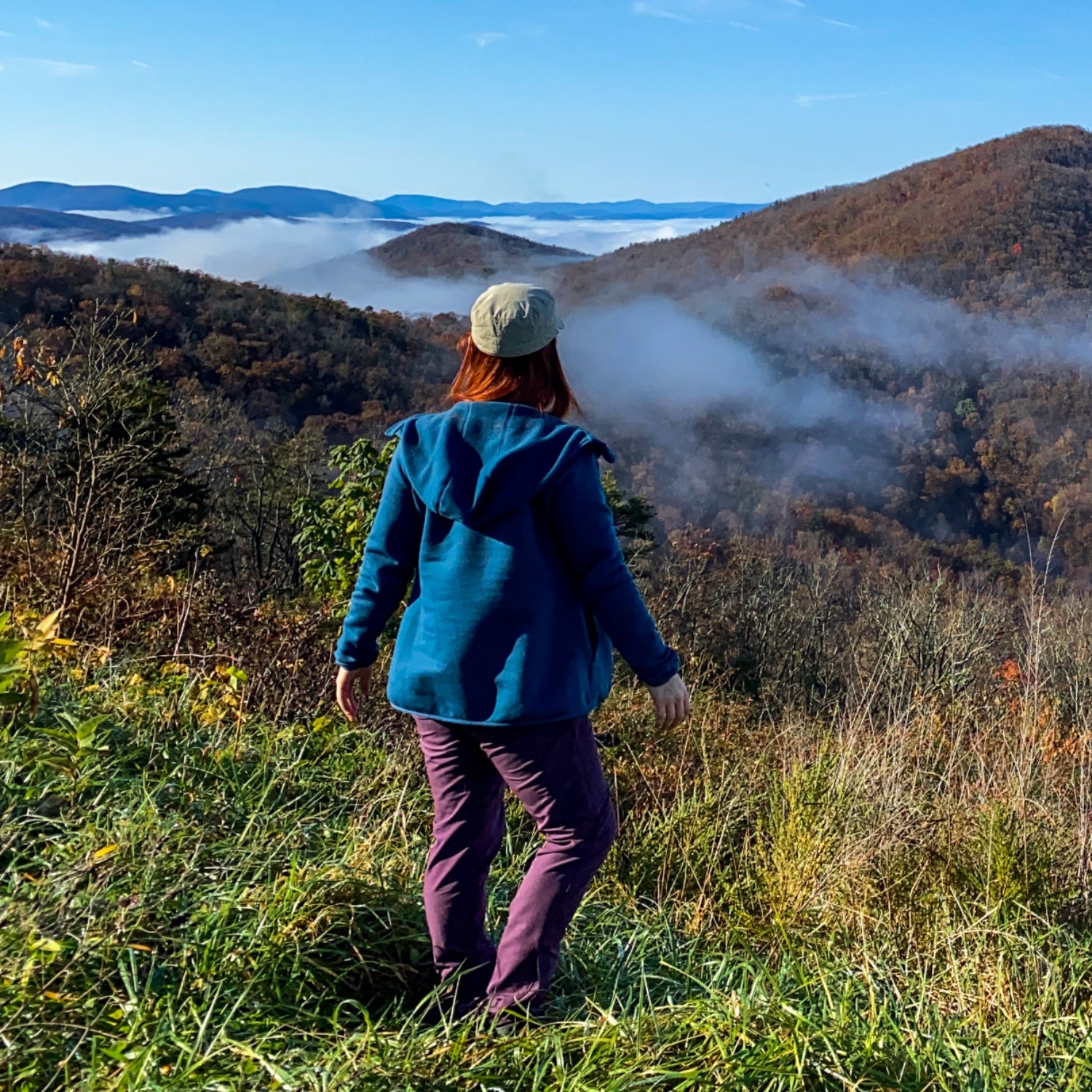 Shenandoah’s Skyline Drive viewpoint