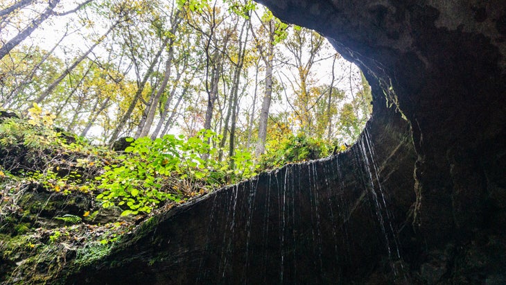 A weeping waterfall