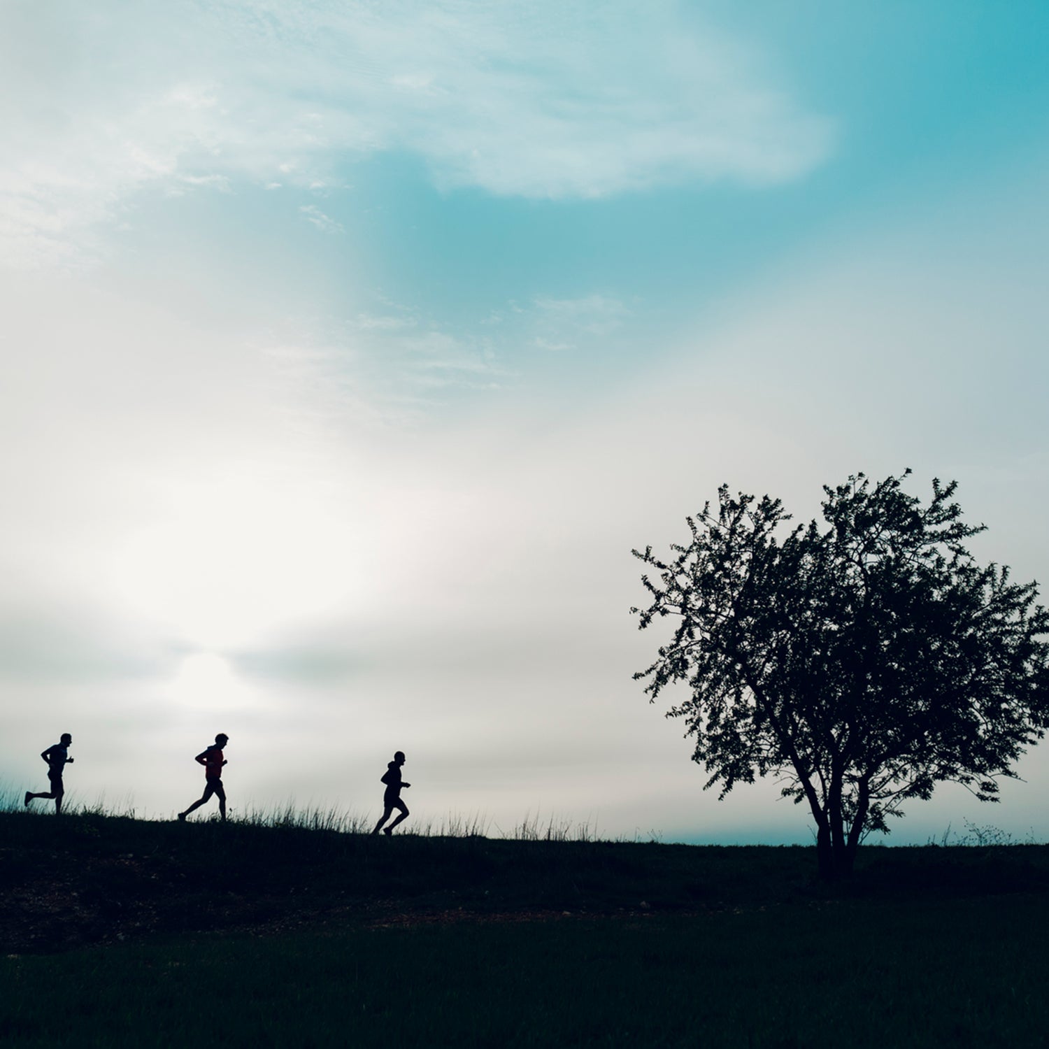 group running on a trail in nature with trees at sunrise.