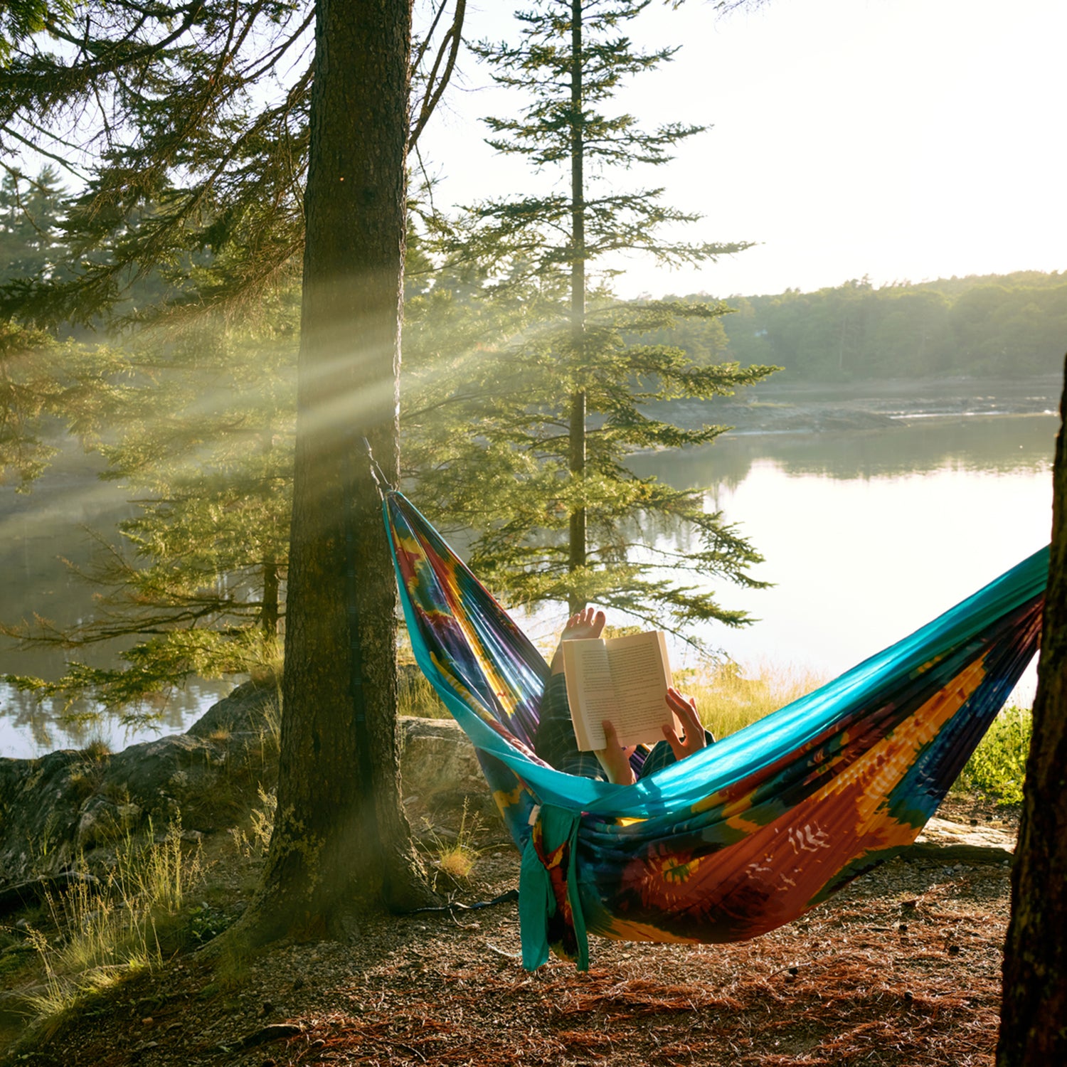 reading a book on an hammock a forest with sea view relaxed in the nature