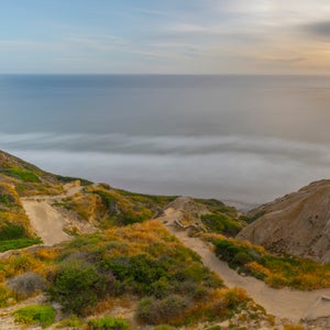 torrey pines trail overlooking ocean in san diego, california