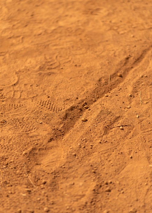 a fading boundary line of the court