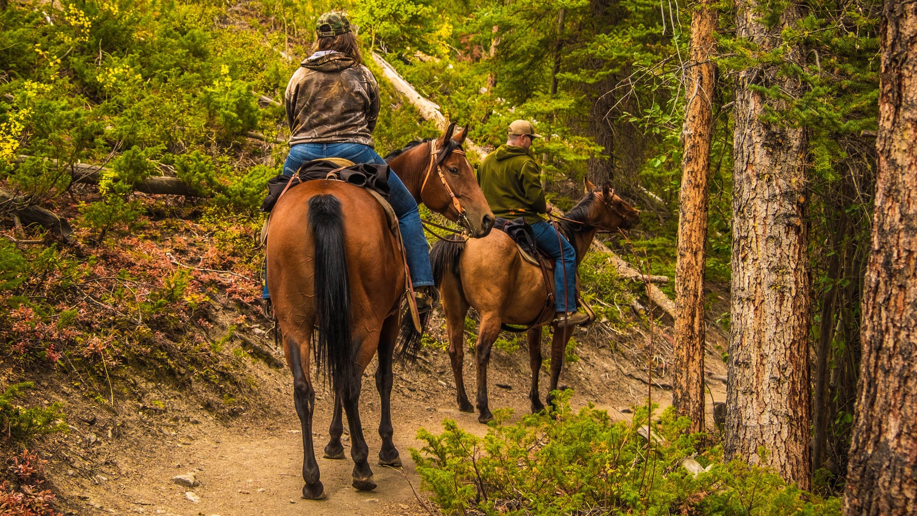 Horseback riders on the trail