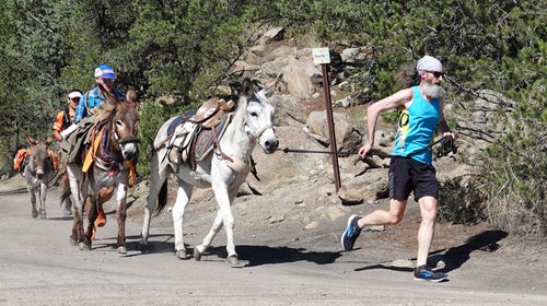 Bob Sweeney - Pack Burro Racing 2022