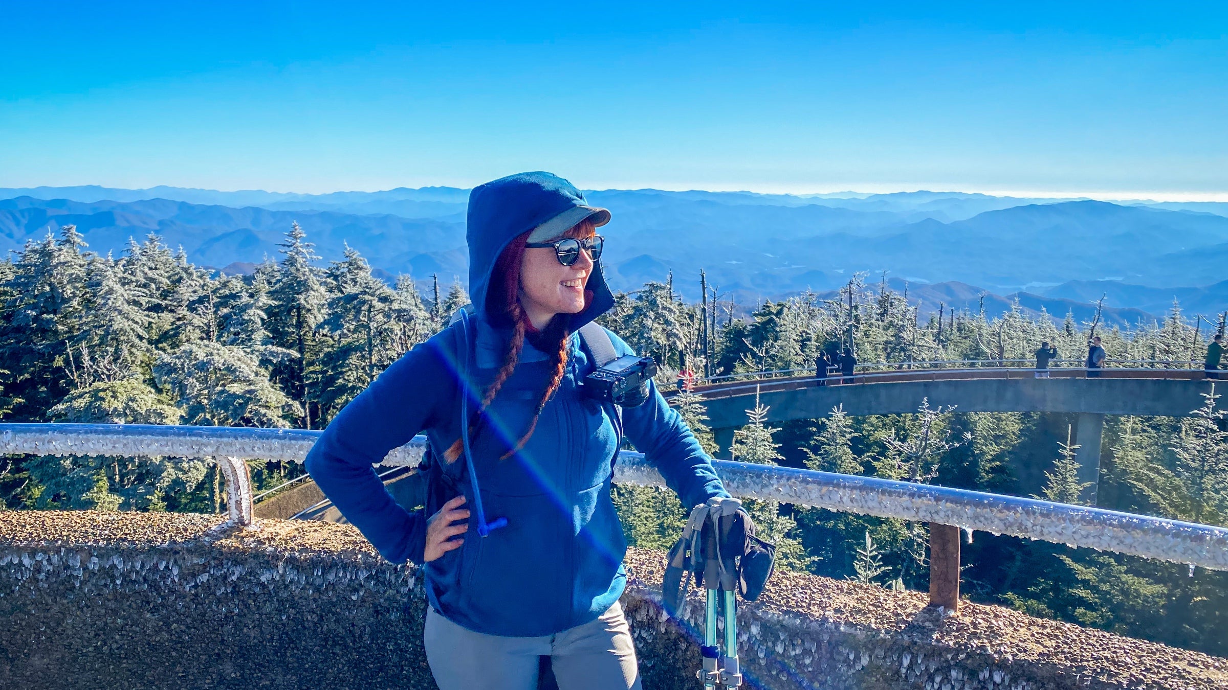 Are Dogs Allowed In Great Smoky Mountains National Park