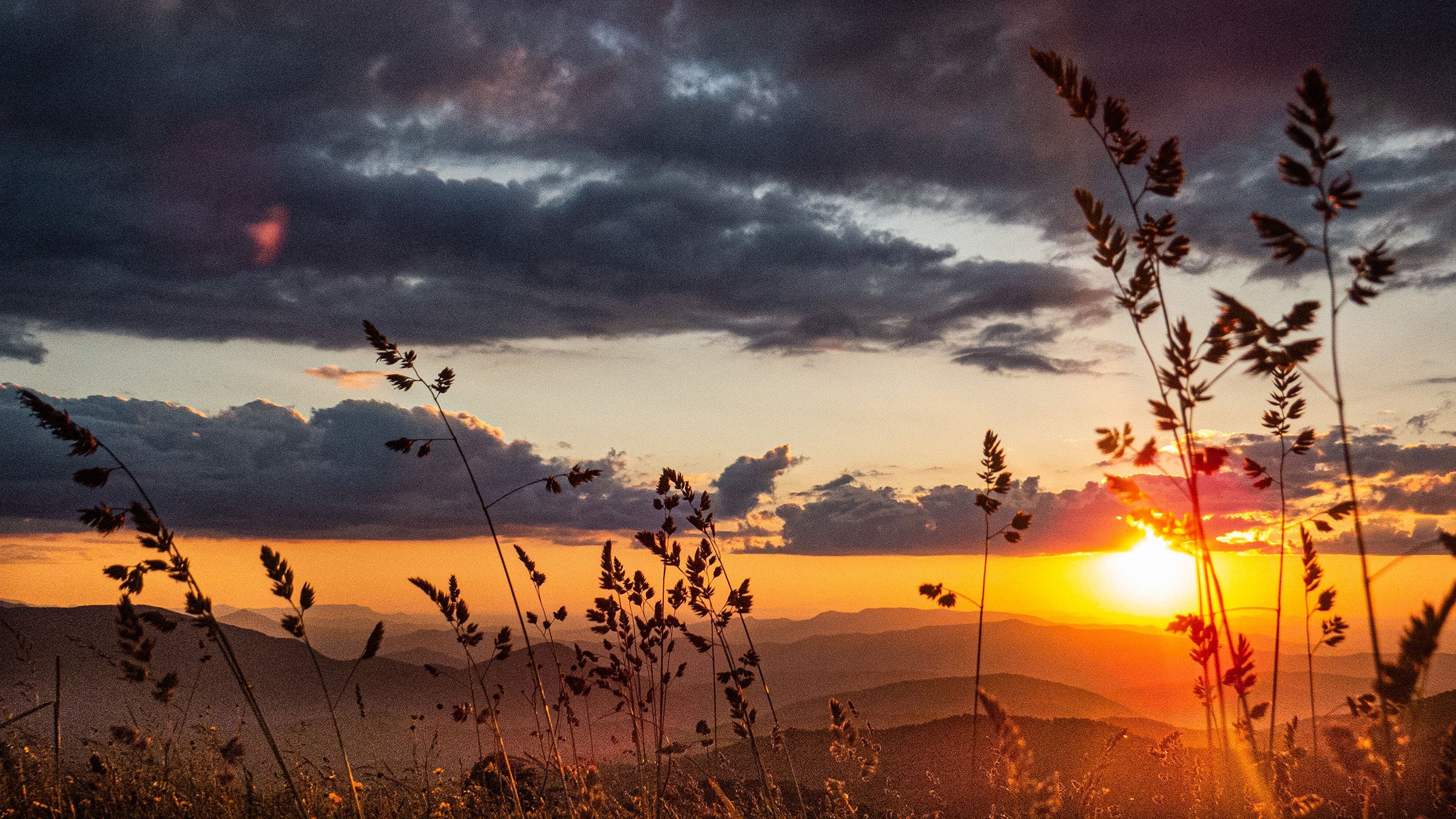Sunrise over a grain field