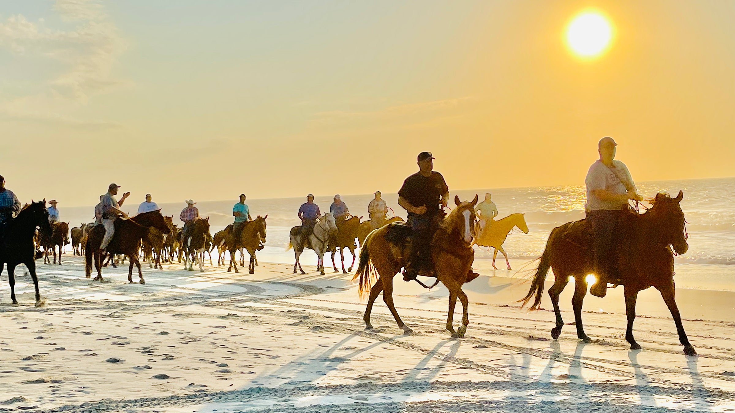 The saltwater cowboys herding ponies on Assateague