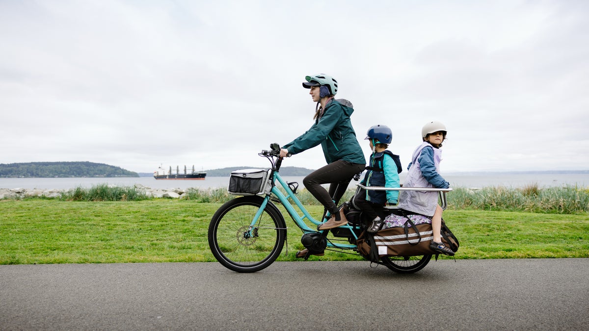 Why You Should Buy an E-bike Instead of an Electric Vehicle