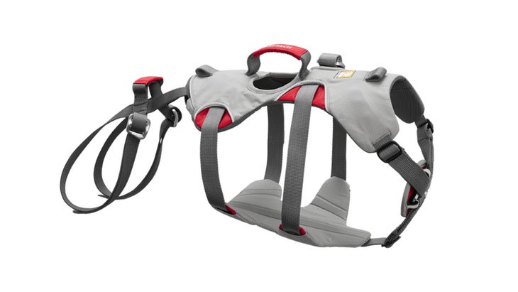 a Ruffwear harness