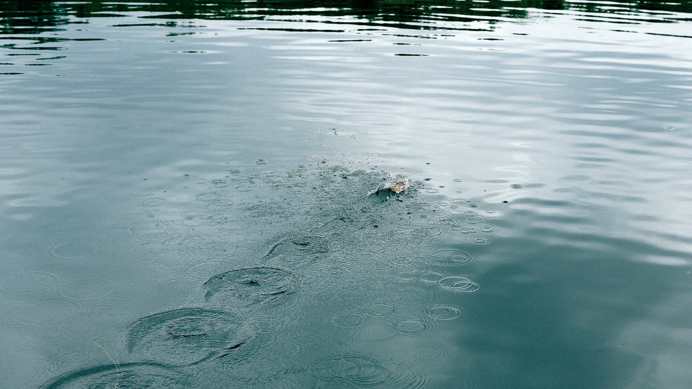 Skipping stones at Presque Isle State Park, in Erie, Pennsylvania