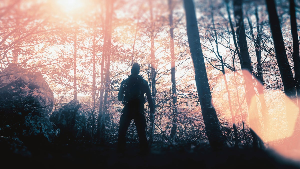 Lost In The Wild: Missing Man'S 9 Day Battle For Survival – Inspiring! - 6n2okny