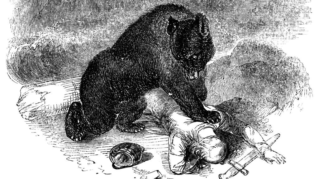 He Fought a Bear with a Pocketknife Outside Online