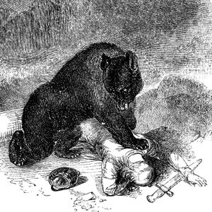 A black-and-white woodcut-style illustration of a bear attacking a man. The man lays face down on the ground with his hand on a sword. The bear's paw is on his back.