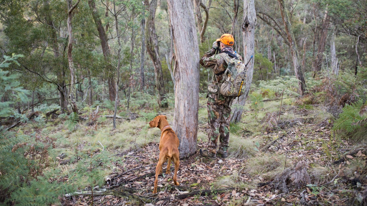 The Best Hunting Apparel of 2023 LaptrinhX / News