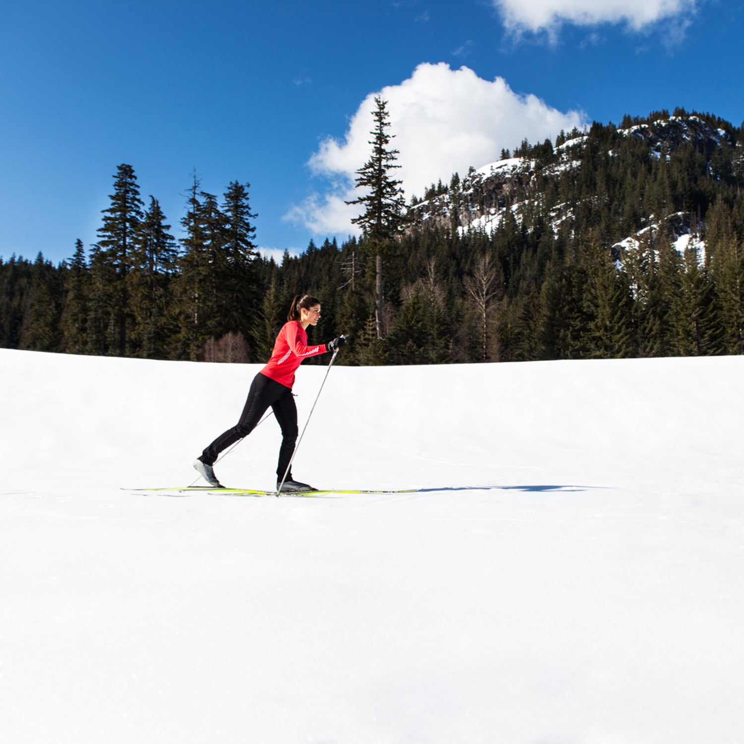 cross-country skiing on a sunny winter day