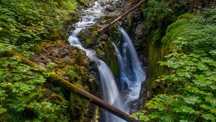 falls greenery