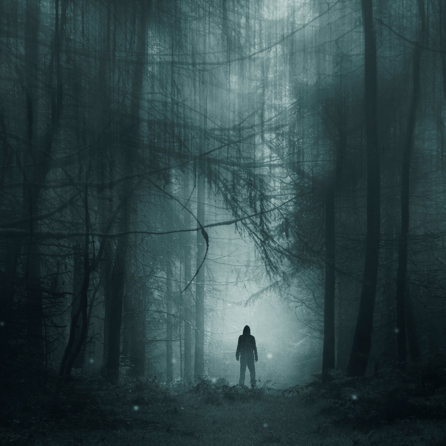 Dark figure in a misty forest
