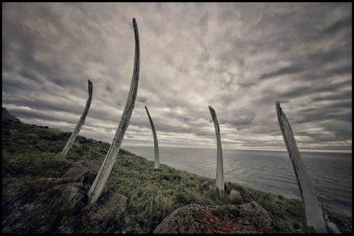 whale bones stick out of grass on a cloudy day