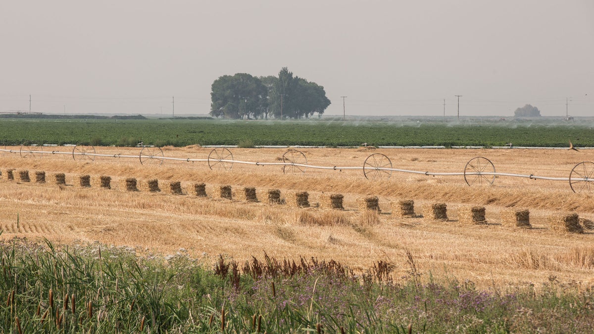 In the Water-Starved West, Can Ancient Stewardship Practices Save the Soil?