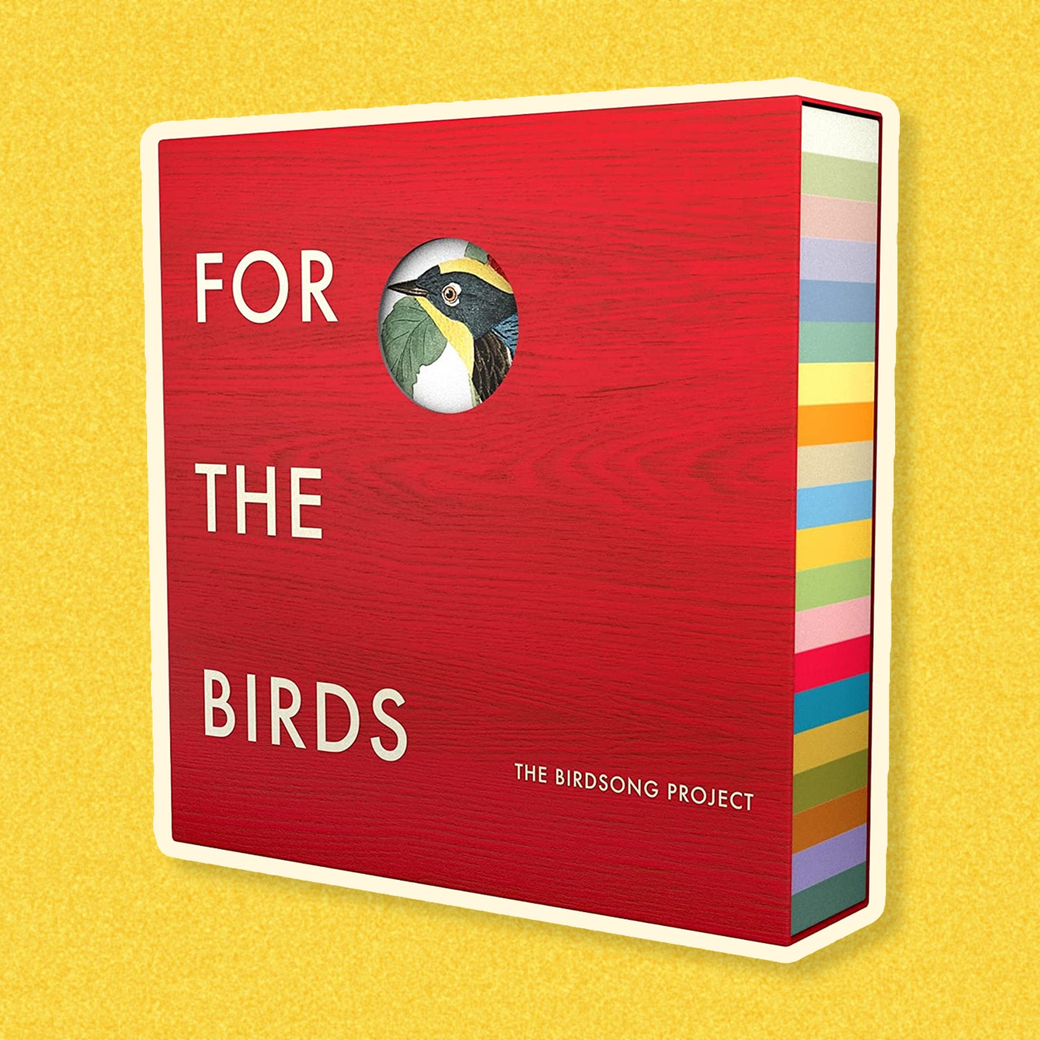 Outside editors’ picks for November 2022