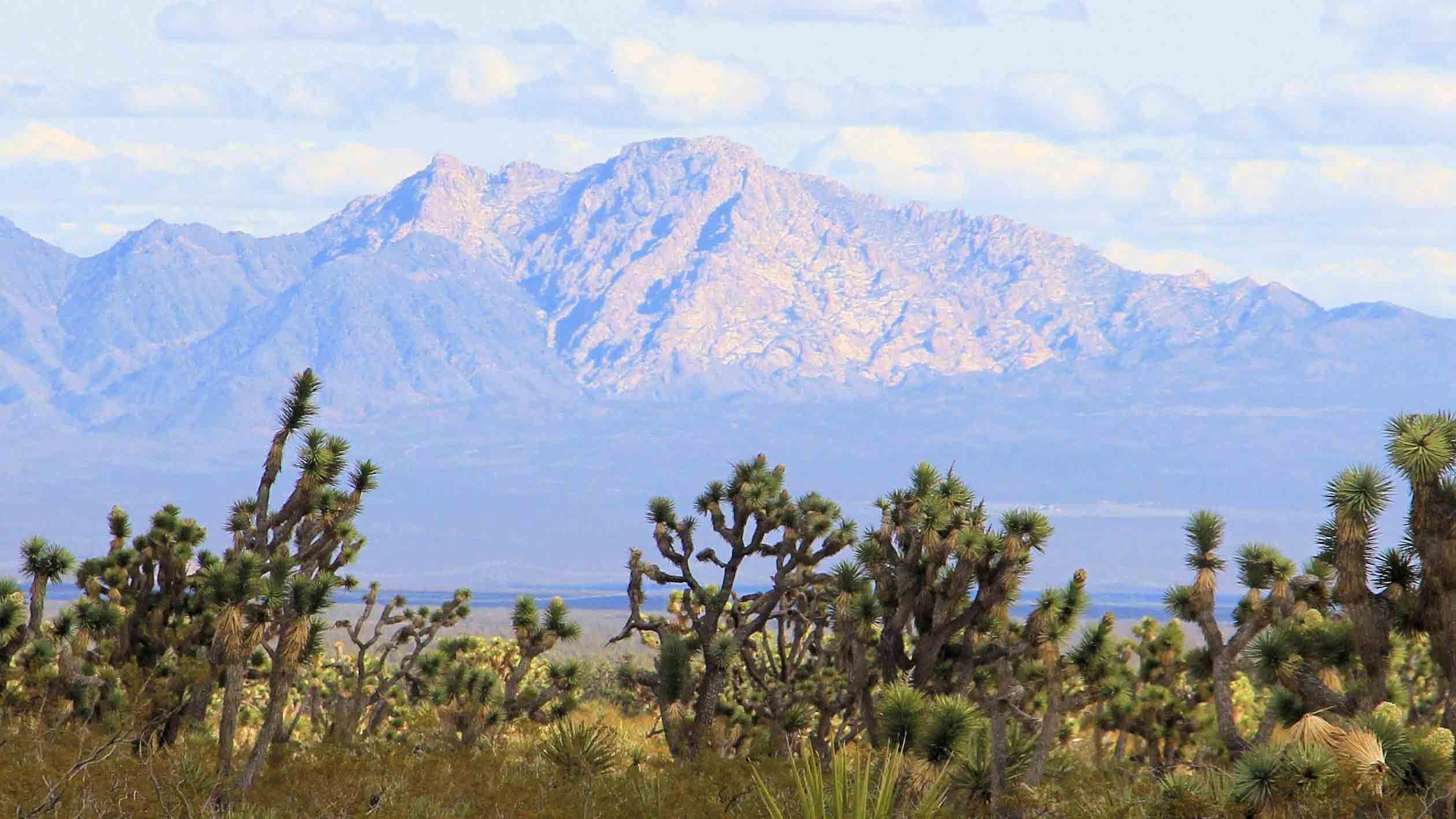 mountain above desert