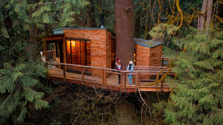 tree house