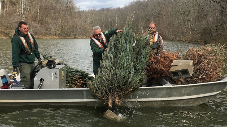 Why Is the Forest Service Dumping Christmas Trees into Ohio Lakes