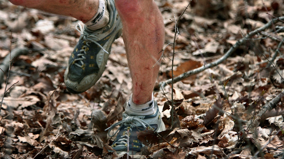 A Breakout Year at the 2023 Barkley Marathons LaptrinhX / News