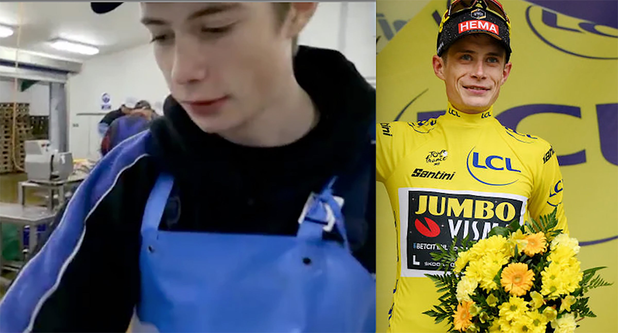 Vingegaard worked in a fish factory