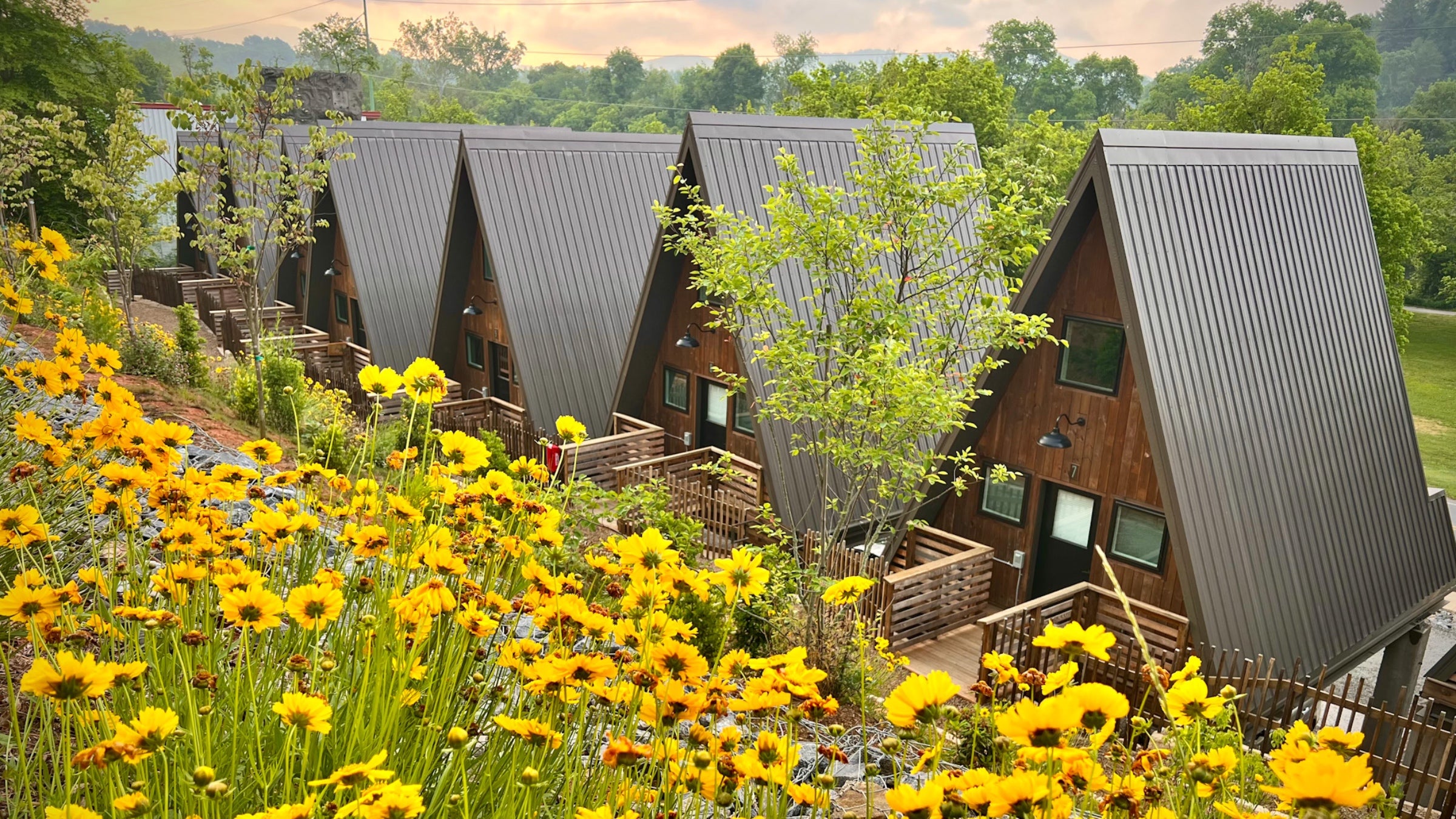 A series of A-frame cabins with yellow flowers on a hillside in front of them