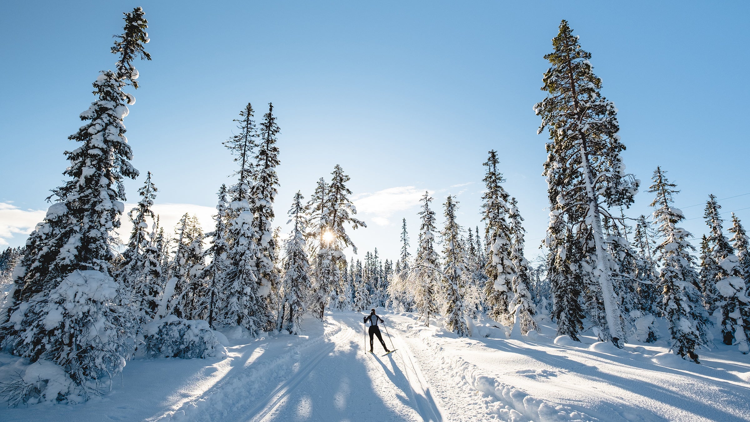 View of woman cross-country skiing in forest in Norway